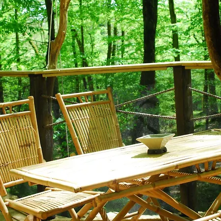 Hotel Parc De La Belle à Magne  Extérieur photo