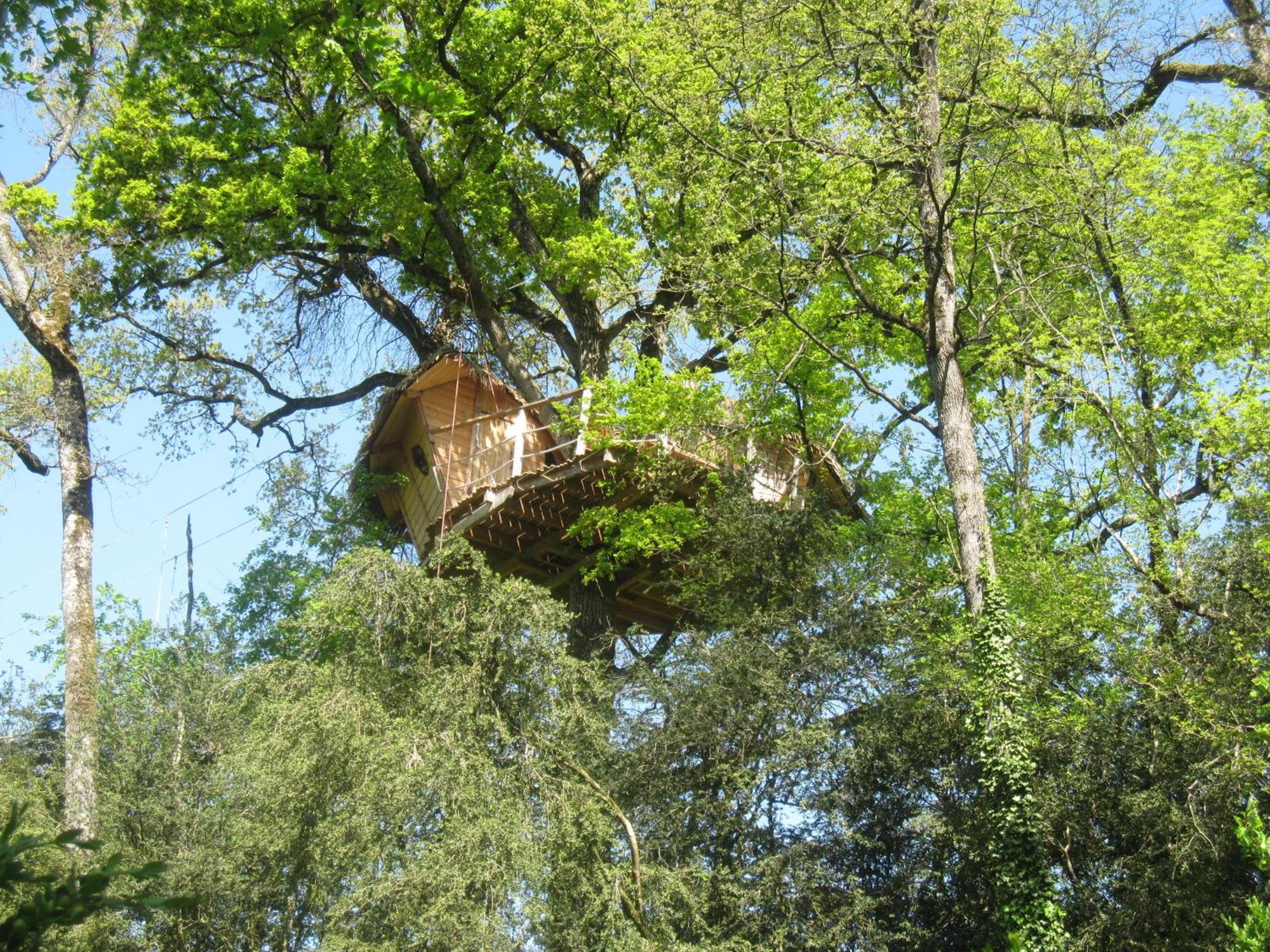 Parc De La Belle